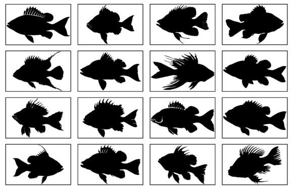 Perch Silhouette Vector for T-Shirt Desi Review